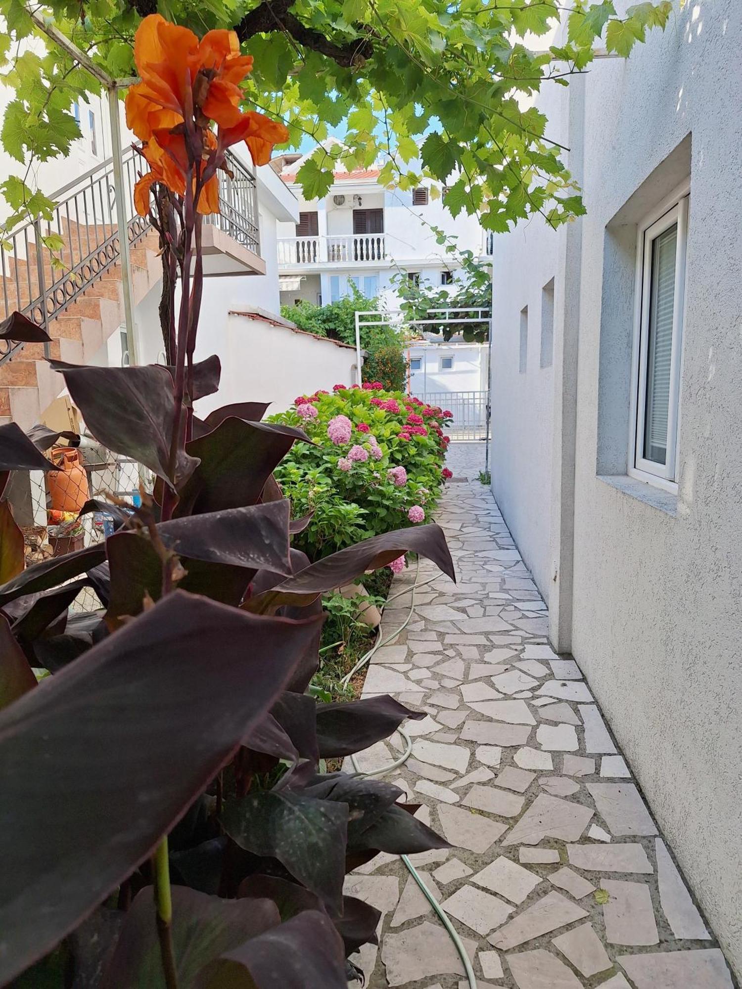 Apartmani Hortenzija Budva Zewnętrze zdjęcie