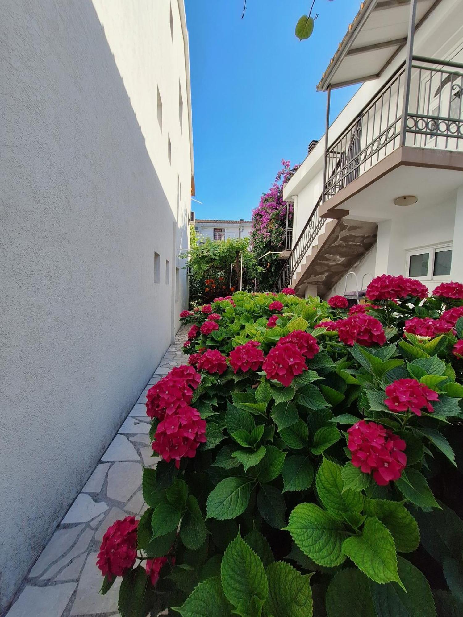 Apartmani Hortenzija Budva Zewnętrze zdjęcie