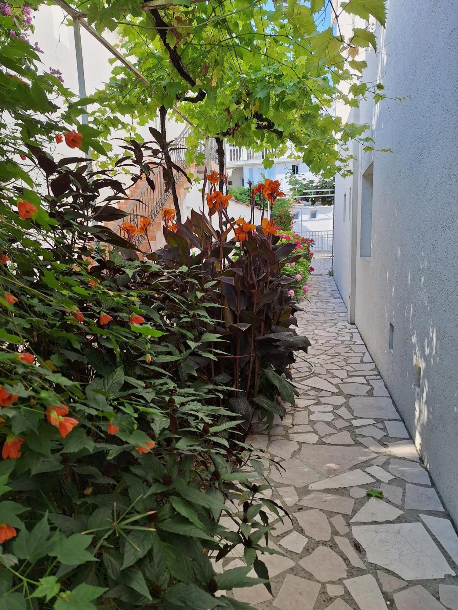 Apartmani Hortenzija Budva Zewnętrze zdjęcie