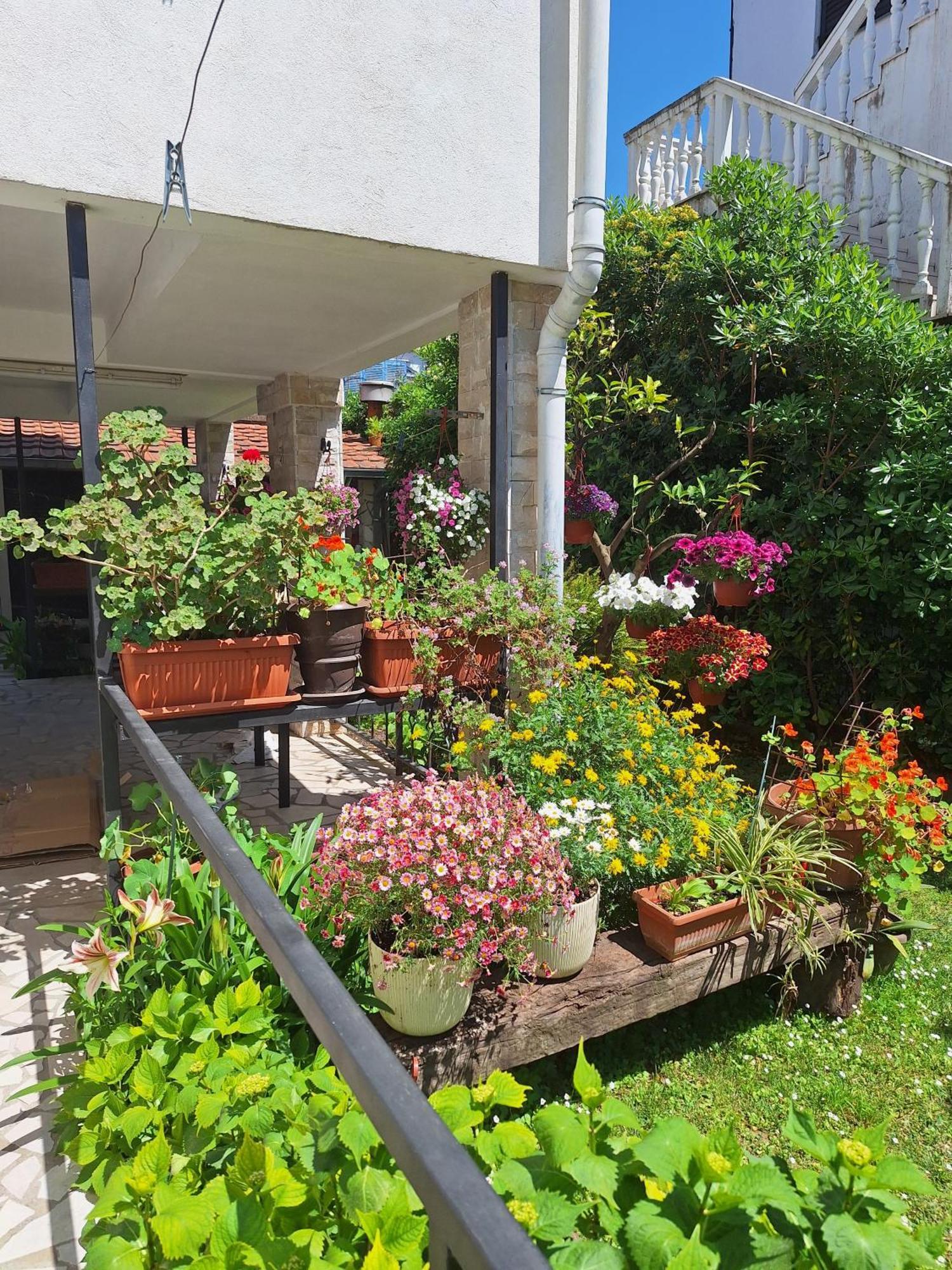 Apartmani Hortenzija Budva Zewnętrze zdjęcie