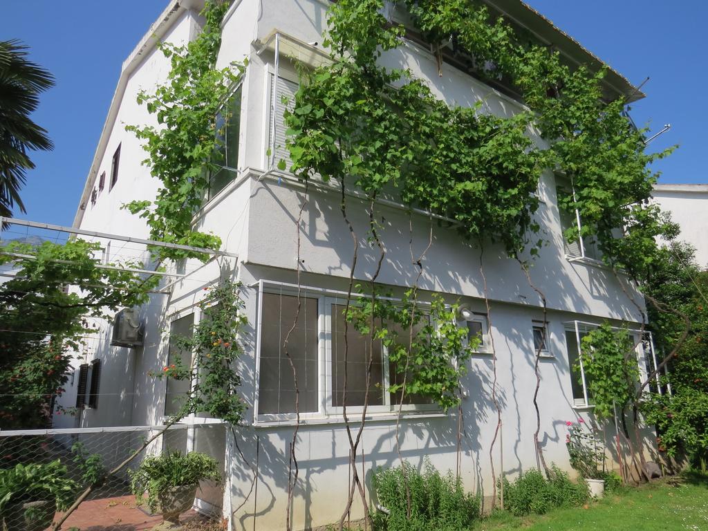 Apartmani Hortenzija Budva Zewnętrze zdjęcie